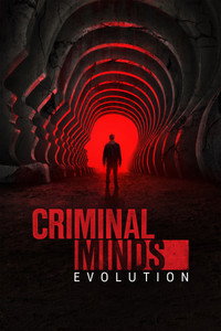 Criminal Minds (2005)
